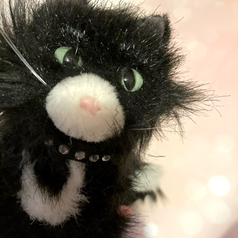 American Girl cat
